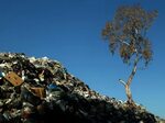 Lebanon's Garbage Crisis Photos Image #11 - ABC News