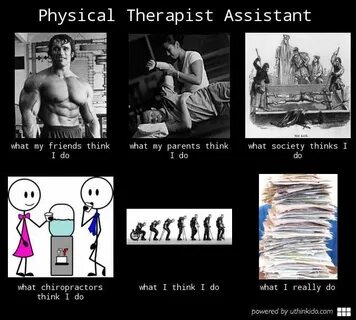 Physical Therapist Assistant Meme Physical therapist assista