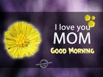 101+ Beautiful Good Morning Mom Images With Quotes - Love Do