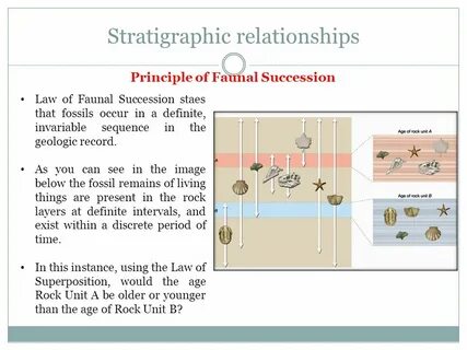 Stratigraphic concepts and lithostratigraphy - ppt video onl