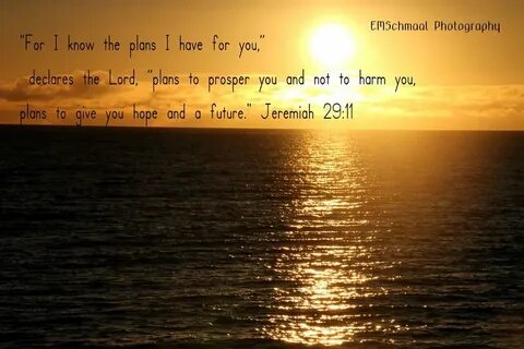Free download Jeremiah 2911 by psychochick10158 900x600 for 