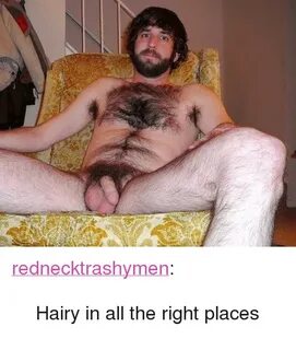 🇲 🇽 25+ Best Memes About Hairy Hairy Memes