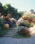 10 Grassless Backyards Landscape design, Garden design, Slop