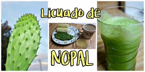 Como preparar un licuado de nopal Licuado de nopal, Recetas 