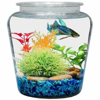 Koller Products 1-Gallon Fish Bowl Aquariums Tanks 7.25 DIA 