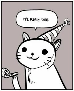 Party Cat Know Your Meme
