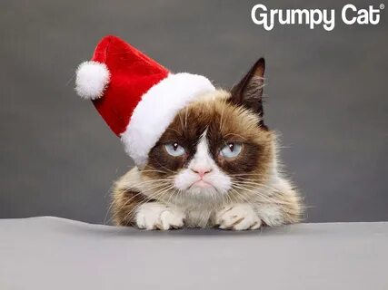 Grumpy Cat 今 個 聖 誕 真"不 爽"