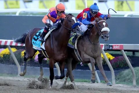 Breeders' Cup Classic or Distaff? Decision still to come for
