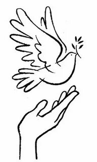 250 ideas de Dia de la paz dia de la paz, paz, paloma de la 