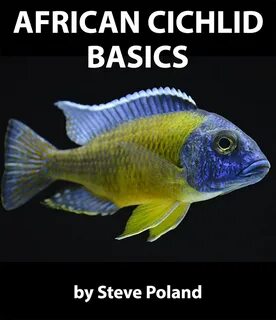 African Cichlid Basics (English Edition) Télécharger Lire en