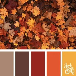 foliage Fall color schemes, Fall color palette, Autumn leaf 