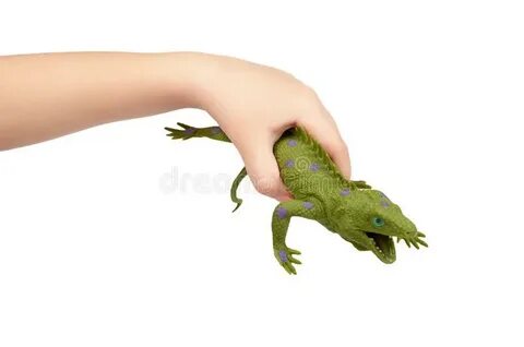 Silicone Toy Iguana in Hand Isolated on White Background. Ex