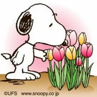 Download High Quality spring clipart snoopy Transparent PNG 