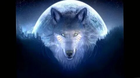 Color Wolf Wallpapers - Wallpaper Cave