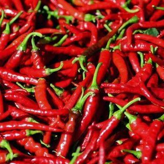 Red Chili Pepper (Uganda) - Jozzy Farm