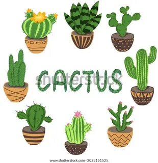 Поиск "Vector cactus set isolated on white. Cacti hand drawn