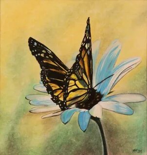 Butterfly on Flower Drawing by Michelle Miron-Rebbe Fine Art