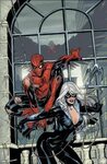 MARVEL KNIGHTS SPIDER-MAN #4 Black cat marvel, Spiderman bla