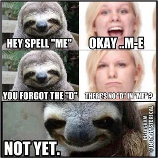 Rape Sloth Meme