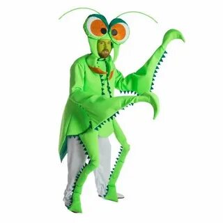 Pin auf insect costume