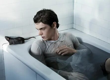 Picture of Evan Peters Evan peters, Evan, American horror st