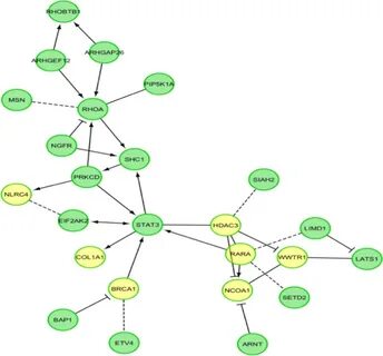 In silico pathway analysis based on chromosomal instability 