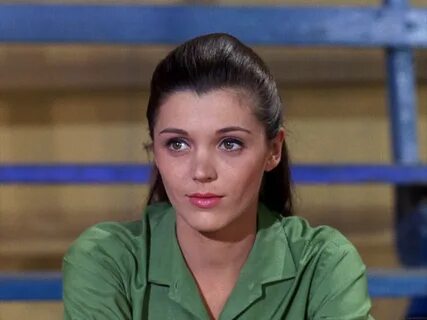 Donna Baccala Pictures Sunshine Factory Monkees Fan Site