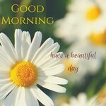 21 Good Morning Quotes and Wishes with Beautiful Images - Ex