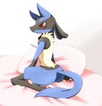Why in many games Lucario is after game content? SM is unpla