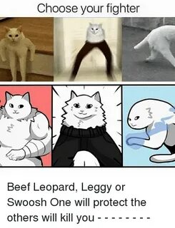 Choose Your Fighter Beef Leopard Leggy or Swoosh One Will Pr