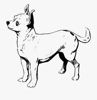 Chiwawa Coloring Pages For Kids With Chihuahua Dog - White C