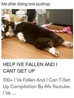 ✅ 25+ Best Memes About Help I Ve Fallen Meme Help I Ve Falle