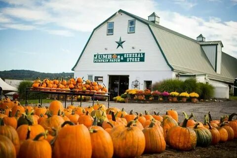We Found the Best Pumpkin Farms to Visit This Fall Pumpkin f