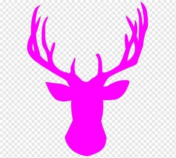 White-tailed deer Stencil Reindeer Red deer, deer, purple, a