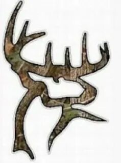 I love buck commander stuff. I think that logo is awesome. D