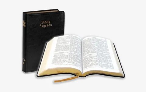 La Seua Repercussió Literària - Biblia De Los Adventistas PN