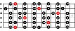 Learn Guitar Scale Using Do Re Mi For Beginners - Constantin