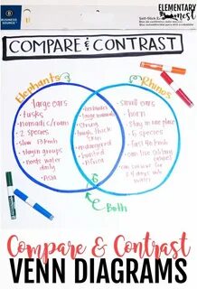 39 Venn Diagram Anchor Chart - Diagram Resource