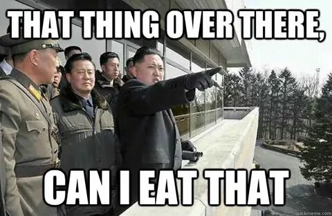 North Korea's Kim Jong Un reaches 130kg