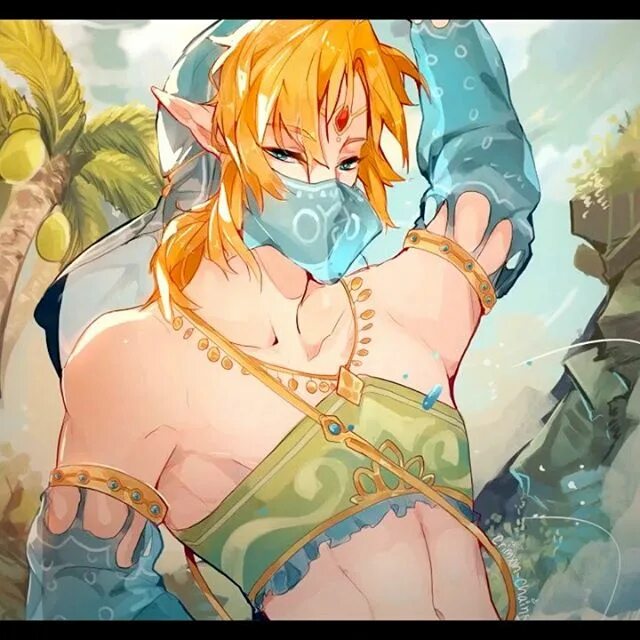 Link in his Gerudo outfit hits different bye 👀 👄 👀 ❤-Story reshares are ...