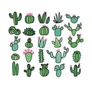 Cactus Plants Set. Vector Colorful Hand Drawn Outline Sketch