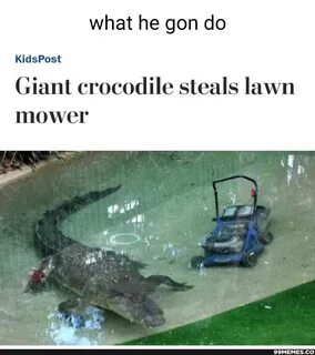 Lawnmower memes. Best Collection of funny Lawnmower pictures