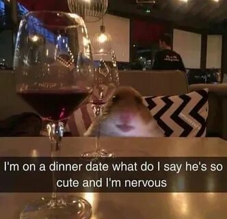 On A Date Kinda Nervous Meme - Quotes Resume