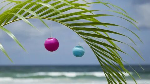 Tropical Christmas Wallpaper (52+ images)