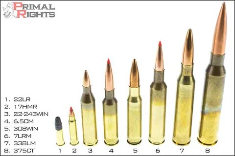 "SI VIS PACEM PARA BELLUM""": 6,5x49 mm Creedmoor e NGSAR: u