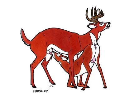 Lads help I think I'm attracted to deer. - /trash/ - Off-Top