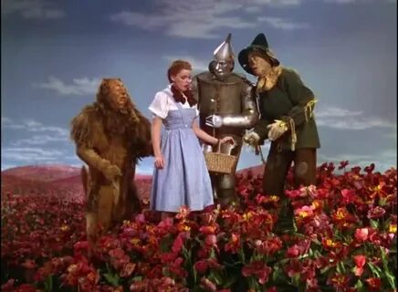 YARN Toto. Where's Toto? The Wizard of Oz Video clips by quo