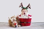 Эти рождественские фотографии малышей с щенками растопят ваш