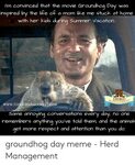 🐣 25+ Best Memes About Groundhog Day Meme Groundhog Day Meme
