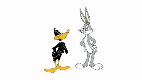 Daffy Duck HD Wallpapers - Wallpaper Cave